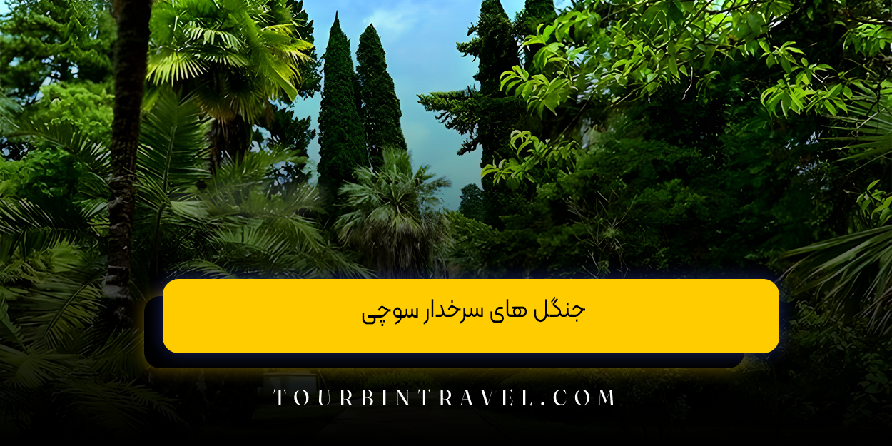 جنگل‌ های سرخدار سوچی