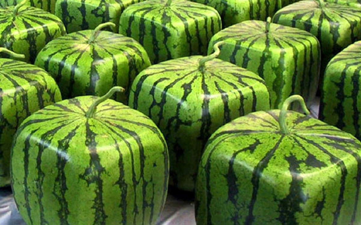 ۱۰ تجربه ای که فقط تو ژاپن می تونی داشته باشی!