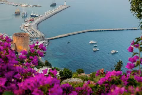 تور آلانیا