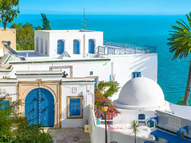 تور تونس