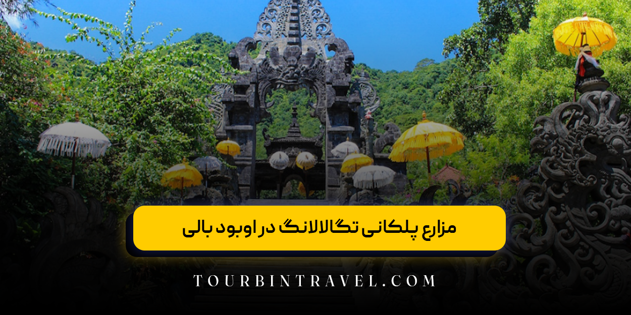 مزارع پلکانی تگالالانگ در اوبود بالی