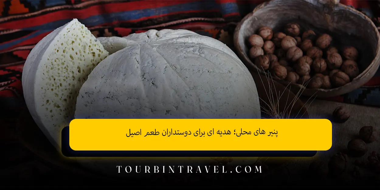 پنیرهای محلی هدیهای برای دوستداران طعم اصیل