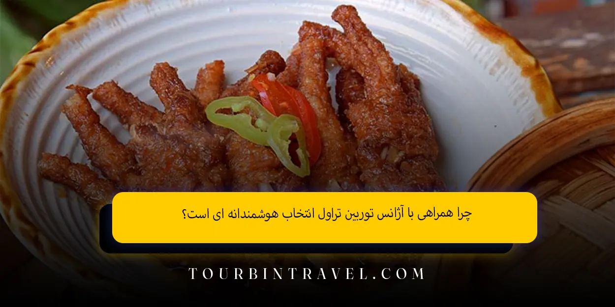 چرا همراهی با آژانس توربین تراول انتخاب هوشمندانهای است؟