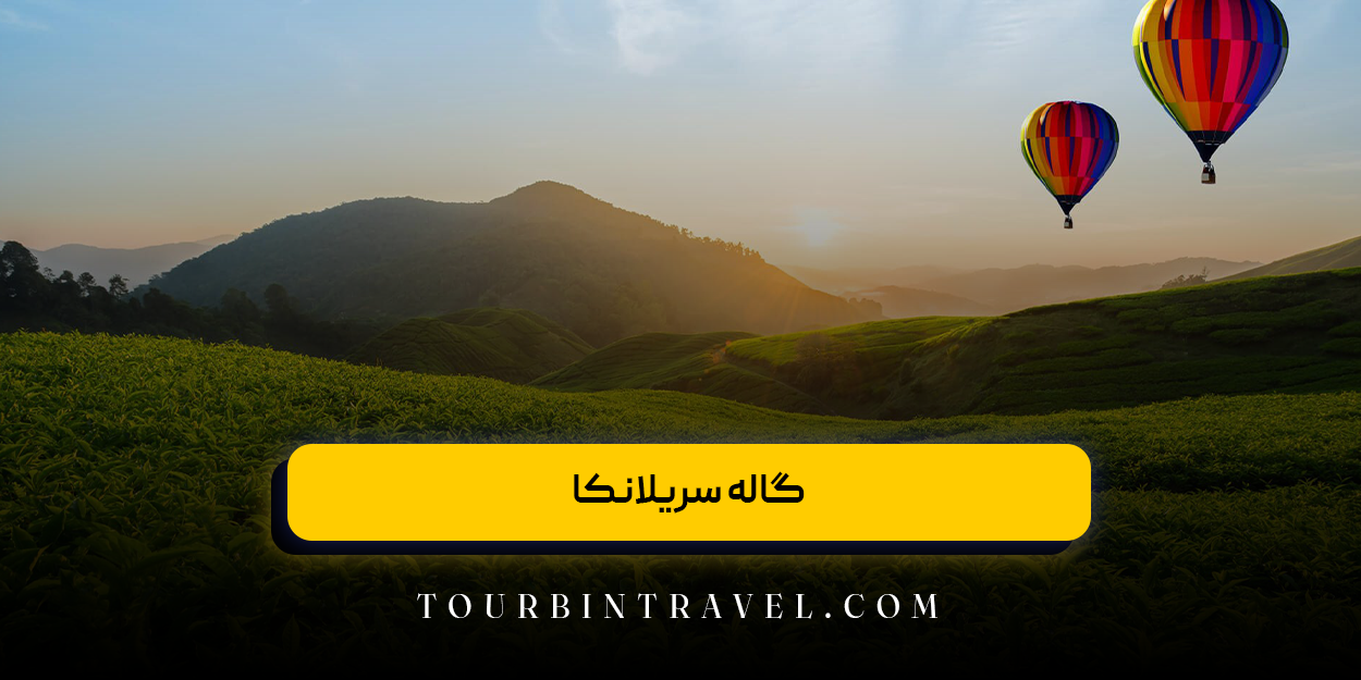 گاله سریلانکا